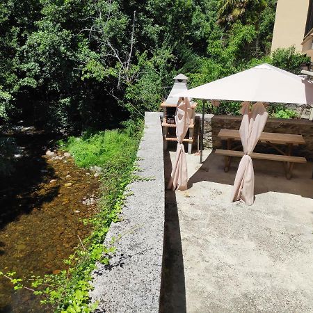 Apartamentos El Rincon De Limes Cangas De Narcea Luaran gambar