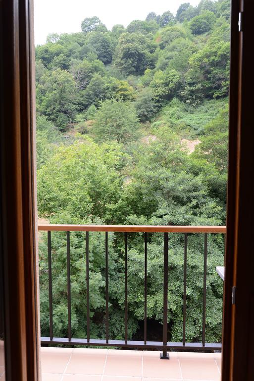 Apartamentos El Rincon De Limes Cangas De Narcea Bilik gambar