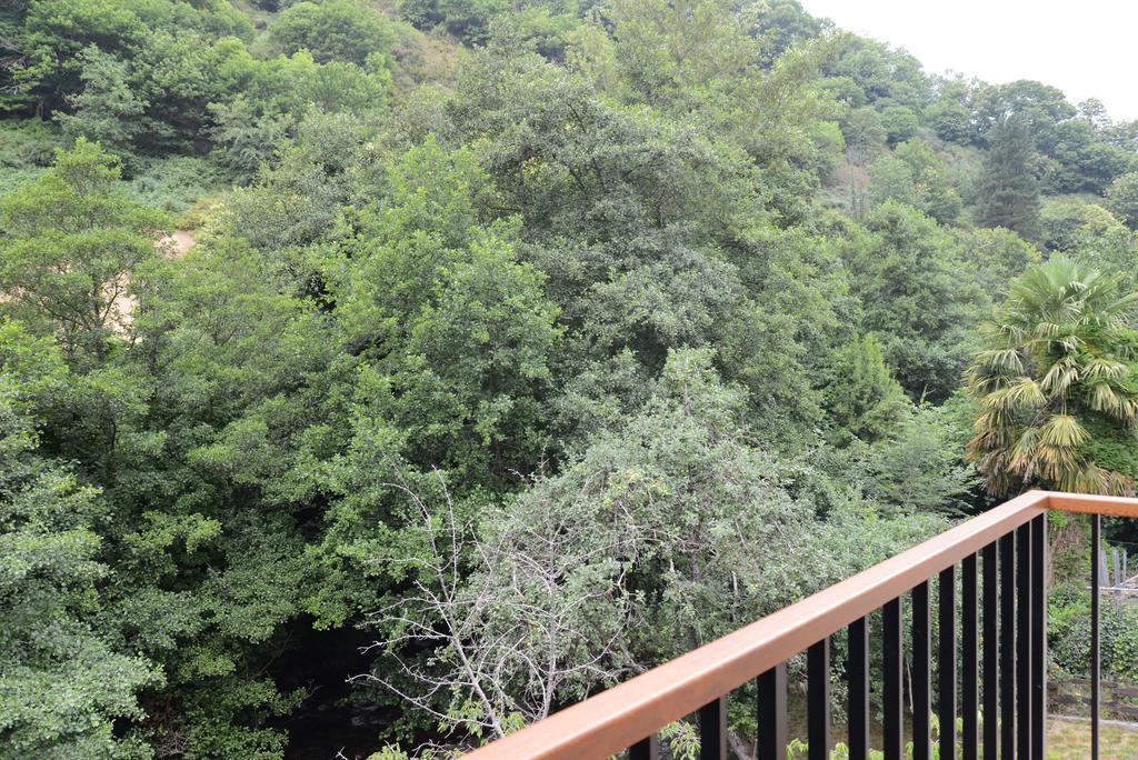 Apartamentos El Rincon De Limes Cangas De Narcea Bilik gambar