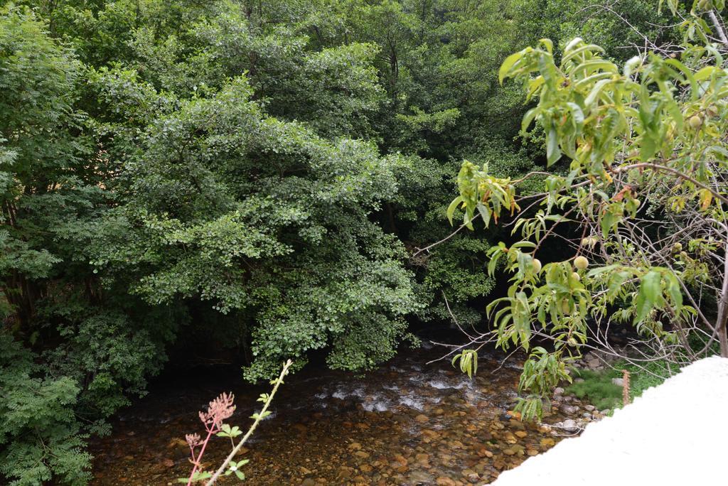 Apartamentos El Rincon De Limes Cangas De Narcea Bilik gambar