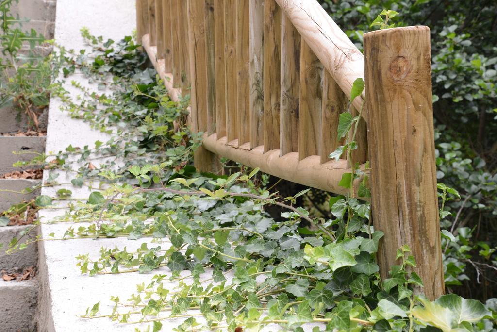 Apartamentos El Rincon De Limes Cangas De Narcea Bilik gambar