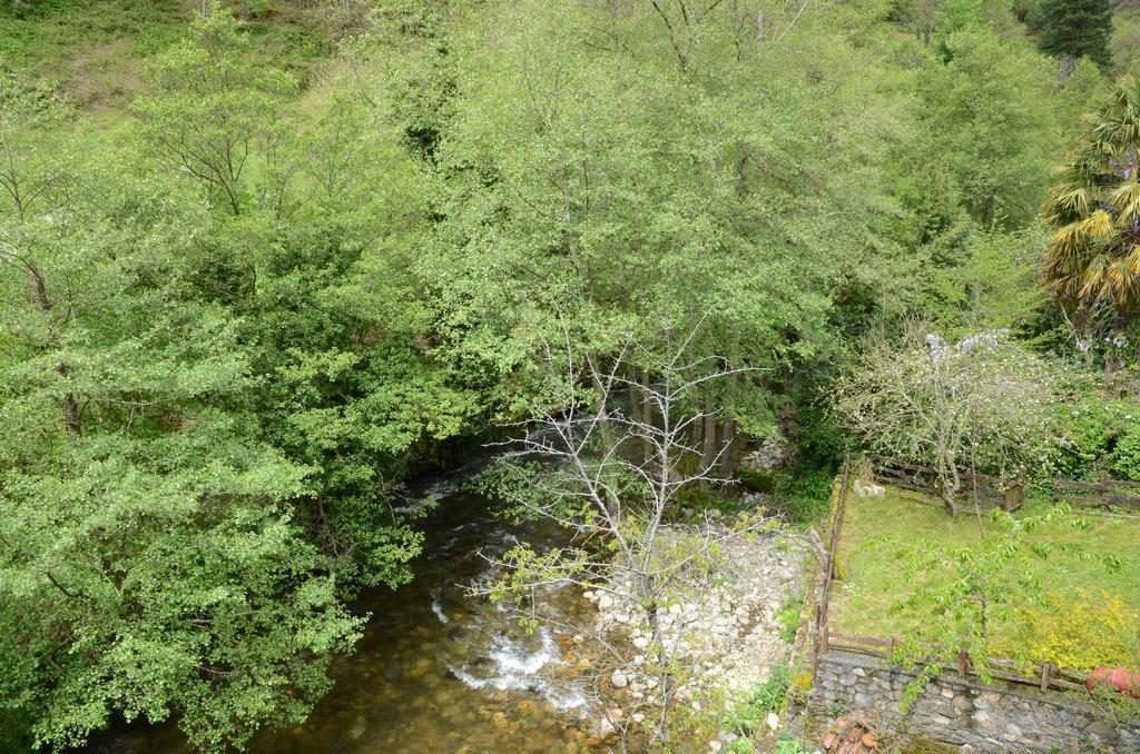 Apartamentos El Rincon De Limes Cangas De Narcea Luaran gambar