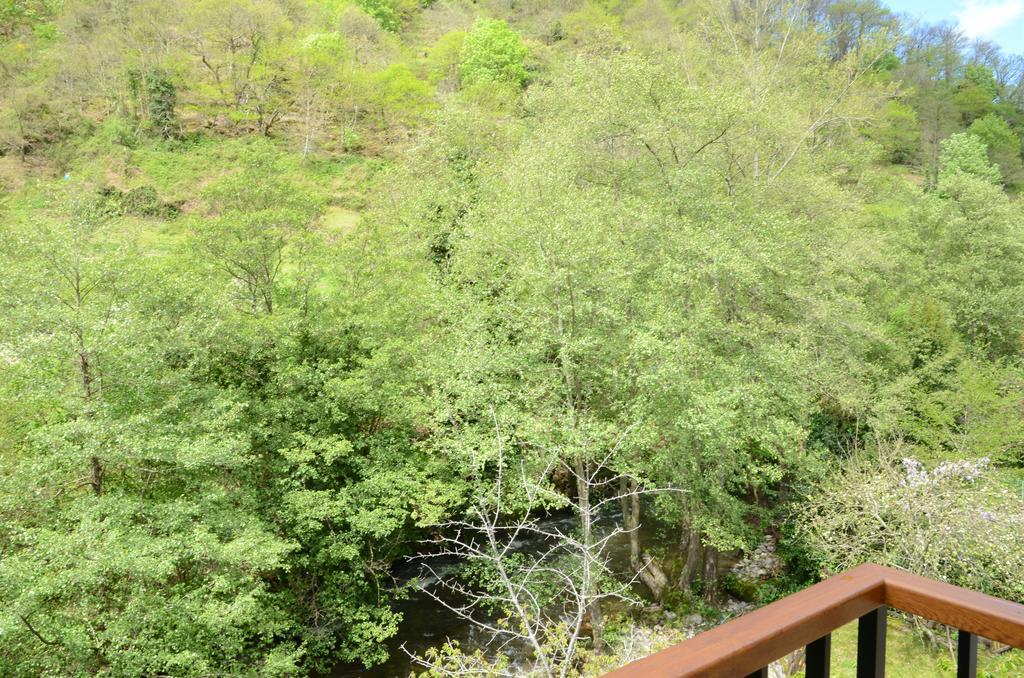 Apartamentos El Rincon De Limes Cangas De Narcea Luaran gambar