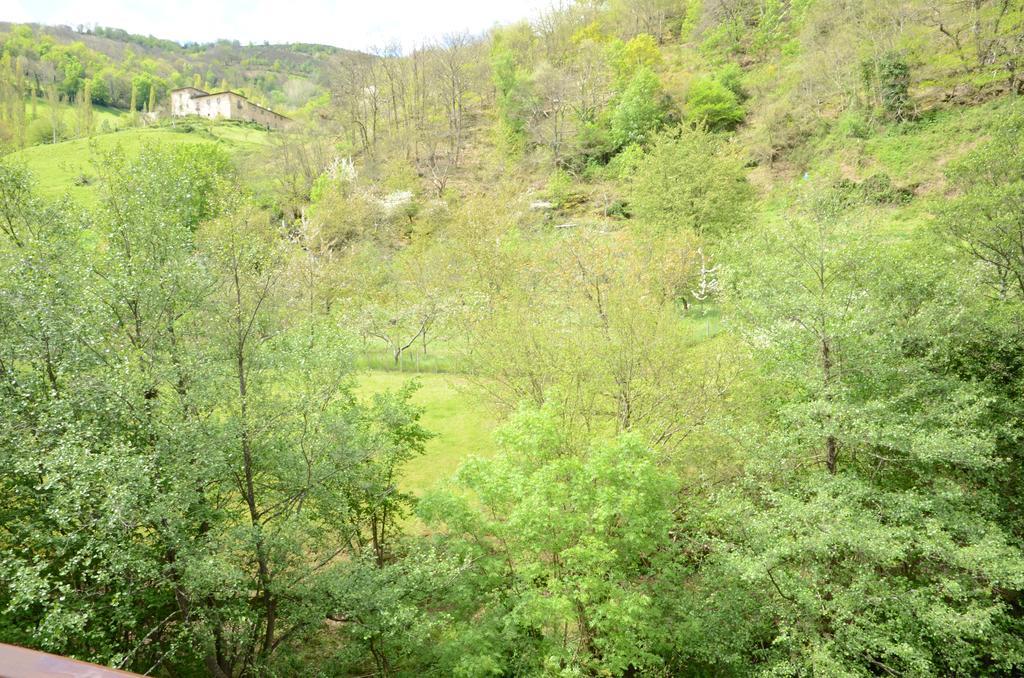 Apartamentos El Rincon De Limes Cangas De Narcea Luaran gambar